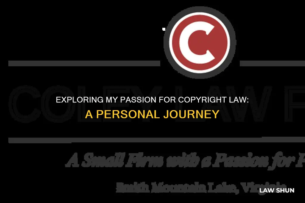 why am i interested in copyright law
