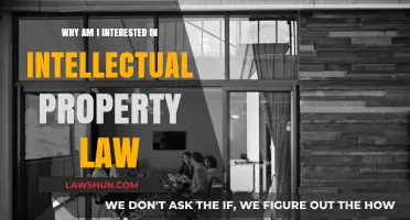Exploring My Passion for Intellectual Property Law: A Personal Journey