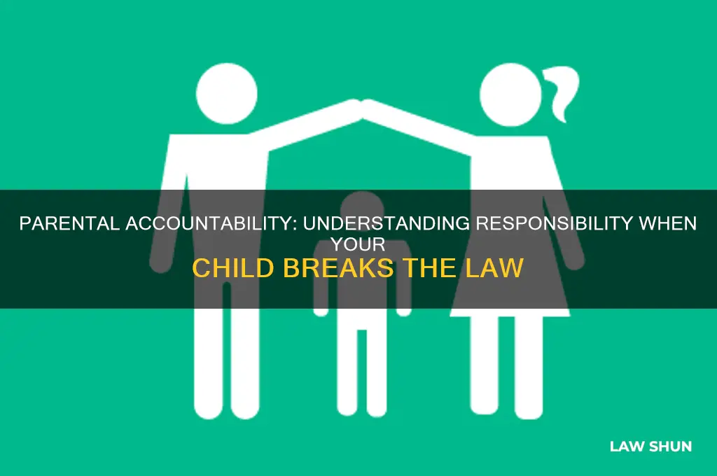 why am i responsible if my child broke the law