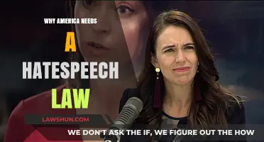 Combating Hate: Why America Needs a Hate Speech Law Now
