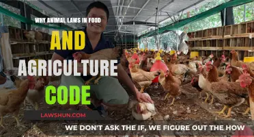 Protecting Farm Animals: The Importance of Animal Laws in Agriculture