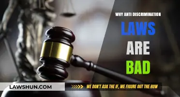 The Unintended Consequences of Anti-Discrimination Laws: A Critical Analysis
