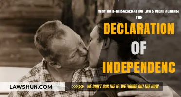 Anti-Miscegenation Laws: A Betrayal of America's Founding Principles