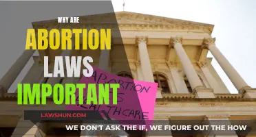 Abortion Laws: Vital for Women's Rights and Health