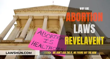 Abortion Laws: Why They're Relevant and Impactful