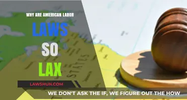 Why American Labor Laws Lag Behind Global Standards: A Deep Dive