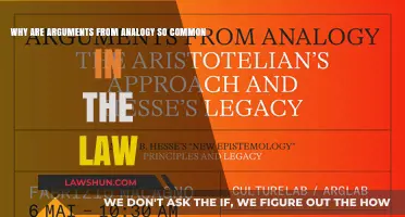 Analogical Reasoning: Law's Common Ground