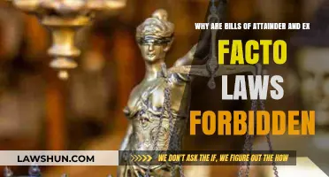 Bills of Attainder and Ex Post Facto Laws: Why They're Forbidden