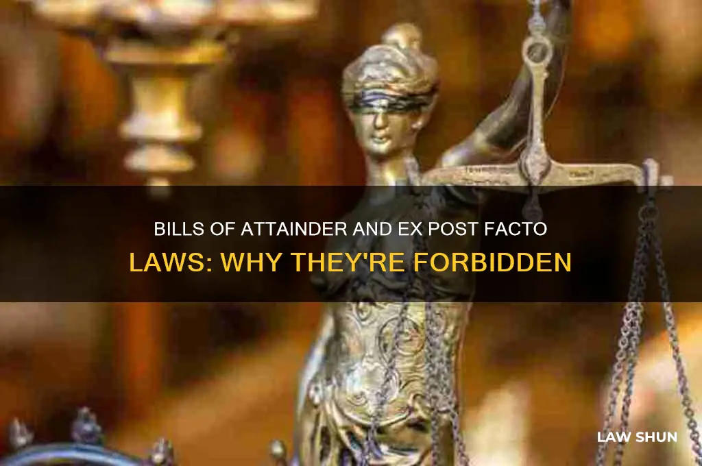 why are bills of attainder and ex facto laws forbidden