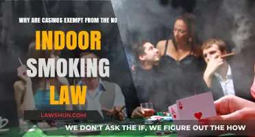 Casinos and Smoking: Why Are They Exempt from Indoor Bans?