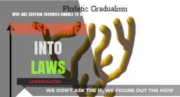 Theories vs. Laws: Why Some Scientific Ideas Never Evolve