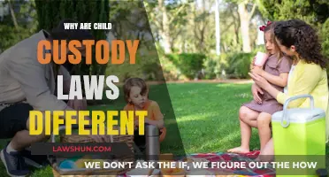 Custody Laws: State-Specific Differences and Why They Exist