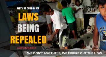 The Troubling Trend: Repealing Child Labor Laws and Its Consequences
