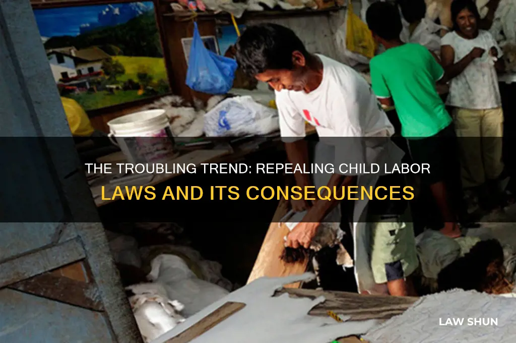 why are child labor laws being repealed