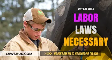 Protecting Childhood: The Critical Need for Child Labor Laws