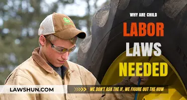 Protecting Childhood: The Critical Need for Child Labor Laws