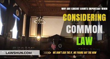 Circuit Courts: Interpreting Common Law