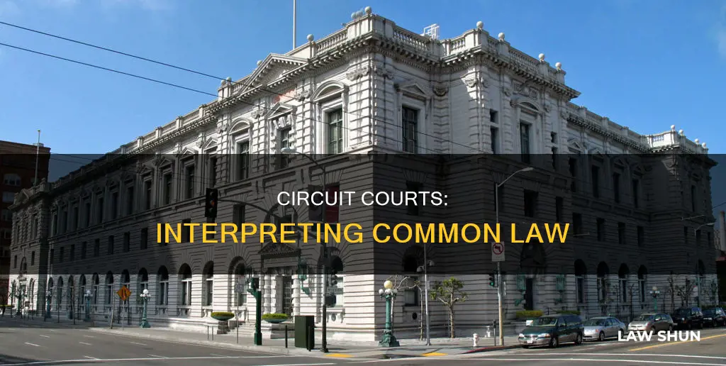 why are circuit courts important when considering common law
