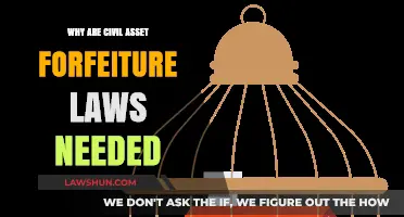 Civil Asset Forfeiture: Essential Legal Tool or Unjust Practice?