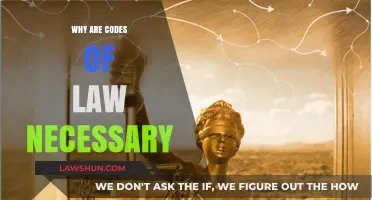 Why Codes of Law Are Essential for Society's Order and Justice