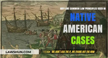 Common Law's Influence on Native American Cases