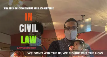 Conscience in Court: Accountability of Moral Minds in Civil Law