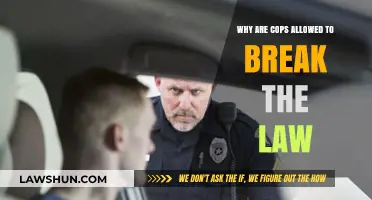 The Legal Loophole: When Law Enforcement Can Violate the Law