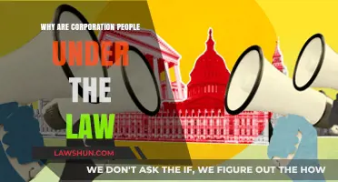 Corporate Accountability: Why Corporations Must Obey the Law Like People