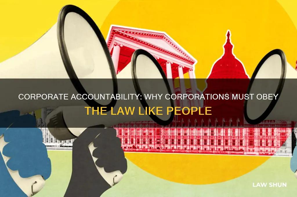 why are corporation people under the law
