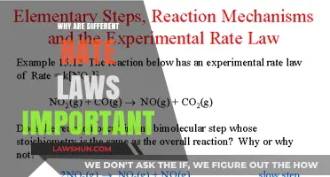 Understanding Rate Laws: Unlocking Chemical Reaction Dynamics