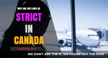 Canada's Strict DUI Laws: Why So Stern?