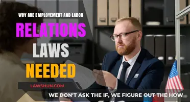 Essential Role of Employment and Labor Laws in Fair Workplaces