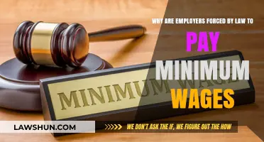 Legal Minimum Wage Requirements: Why Employers Must Comply by Law