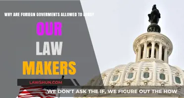 Foreign Lobbying Influence: Why Are Our Lawmakers Open to It?