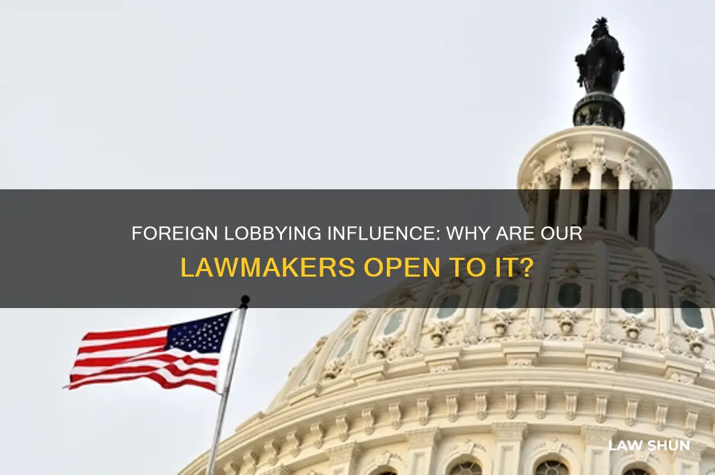 why are foriegn goverments allowed to lobby our law makers
