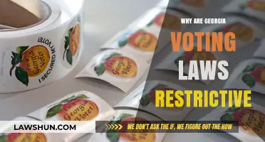 Georgia's Voting Laws: Understanding the Restrictive Measures and Their Impact