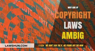 Ambiguity in IP Copyright Laws: Causes, Consequences, and Clarity Needed