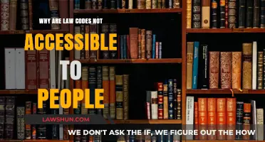 Legal Jargon Barriers: Why Law Codes Remain Inaccessible to the Public