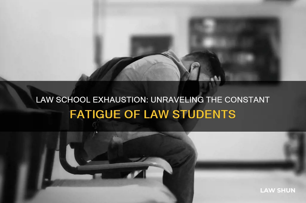 why are law students constantly tired