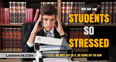 Unraveling the Stress Epidemic Among Law Students: Causes and Solutions