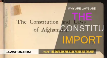 Laws and Constitution: Foundation of Our Society