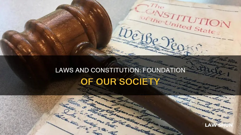 why are laws and the constitution importsjt