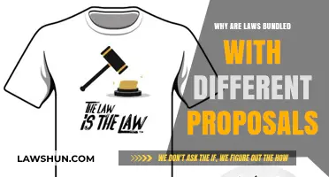 Bundled Laws: A Complex Web of Proposals and Politics