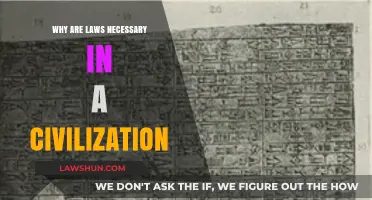 Laws: The Essential Framework for Order and Progress in Civilization