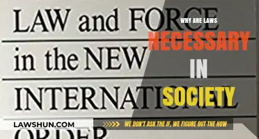 The Foundation of Order: Why Laws Are Essential in Society