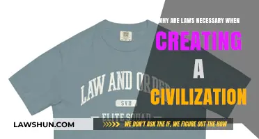Civilization's Foundation: Laws and Order