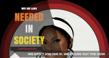 Why Laws Matter: Building Order, Justice, and Social Harmony