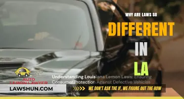 Exploring LA's Unique Laws: Why So Different?