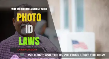 Why Liberals Oppose Voter Photo ID Laws: A Critical Analysis