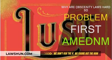 Obscenity Laws: A First Amendment Conundrum